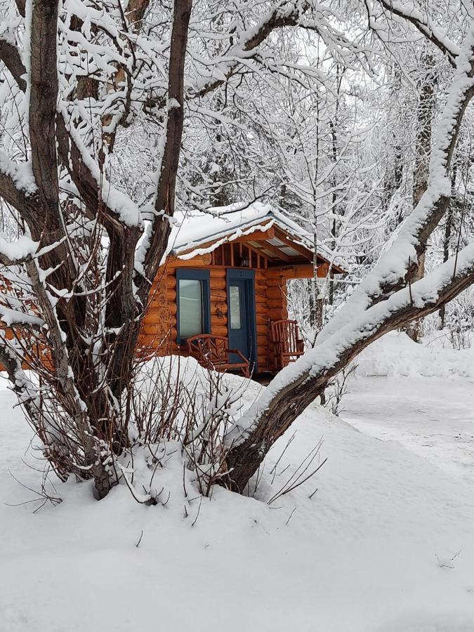 Hatcher Pass Cabins Palmer Extérieur photo